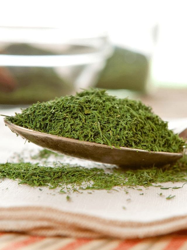 Dill