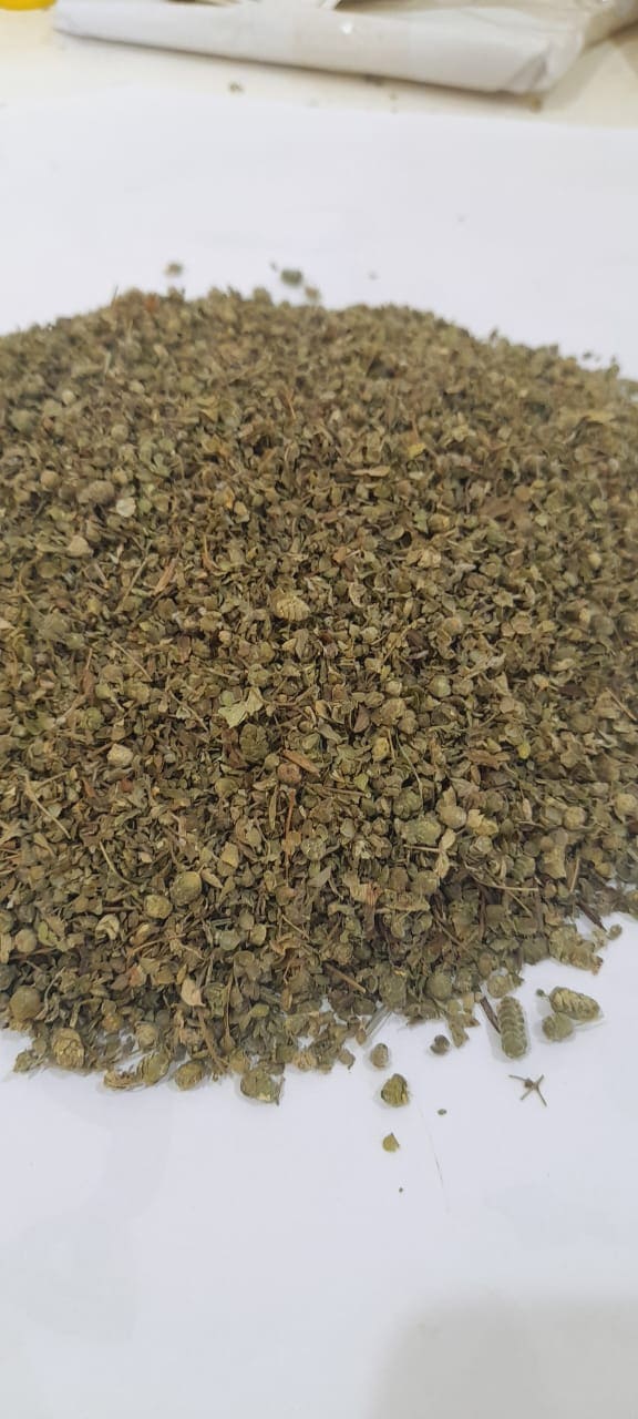 Origano